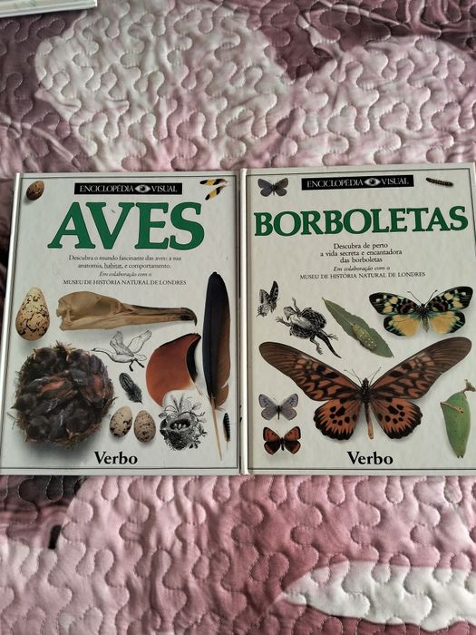 Enciclopédia verbo