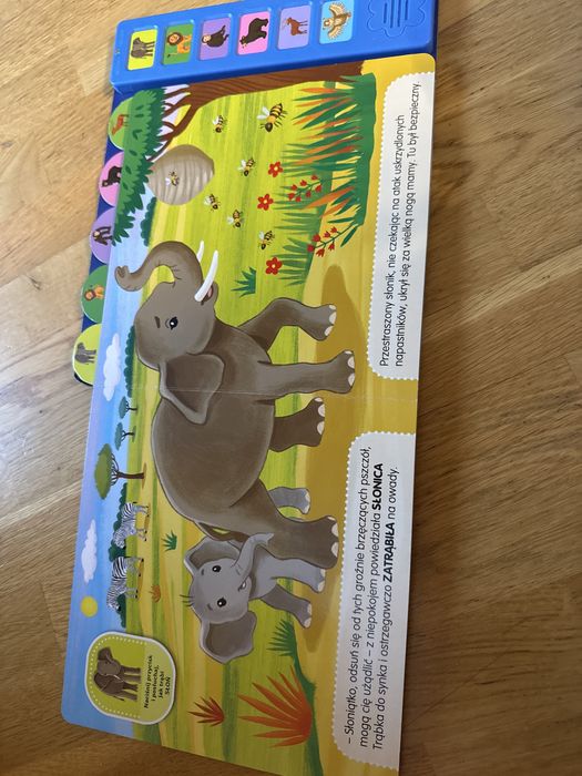 Książeczka Odkrywam dzwięki dzikie zwierzęta