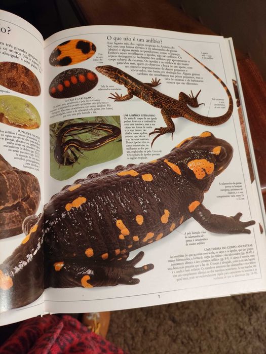Enciclopédia dos anfíbios