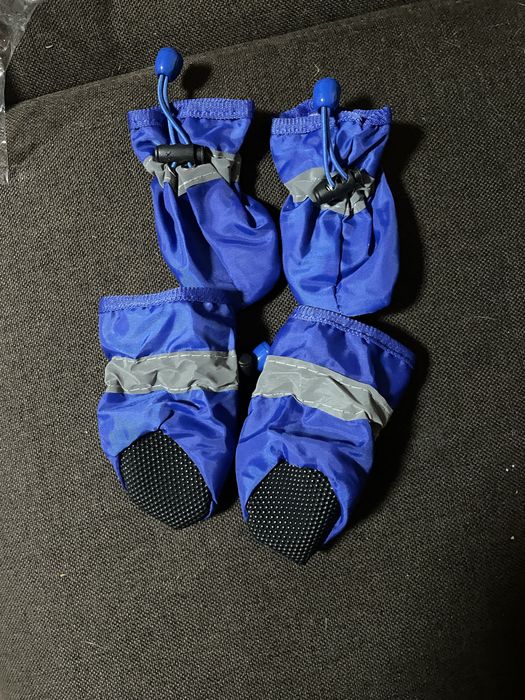 Одежда для животных