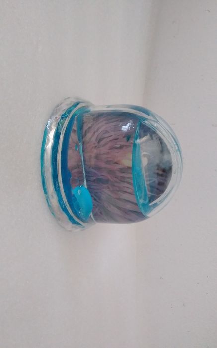 Globo Aquário para fotos