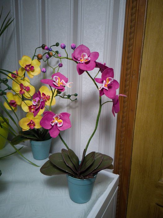 Орхідеї квіти для декору поларунок