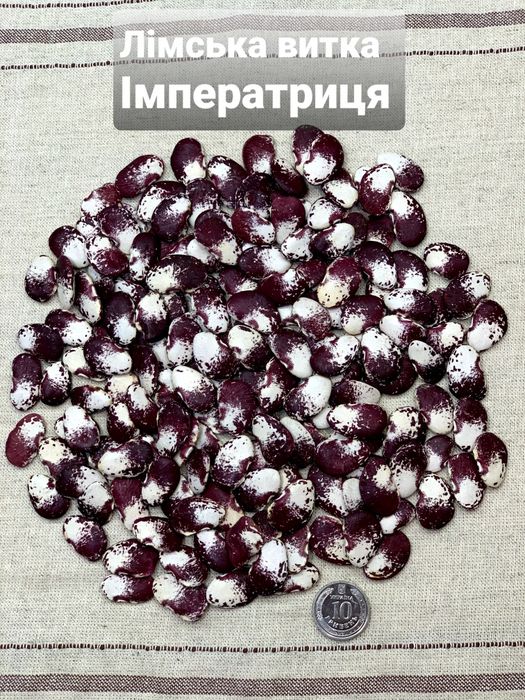 Квасоля Лімська насіння