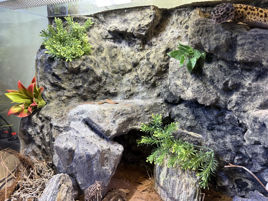 Terrarium 30x30x50 i inne