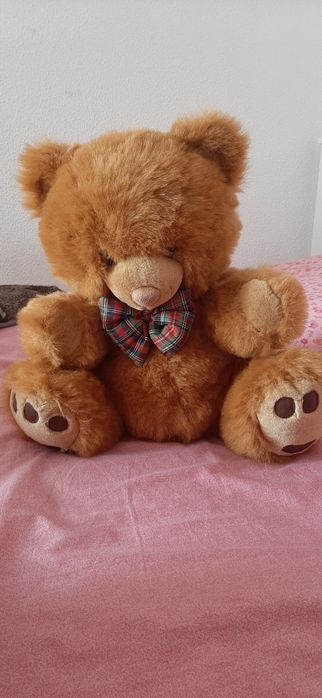 Medium-sized plush teddy bears