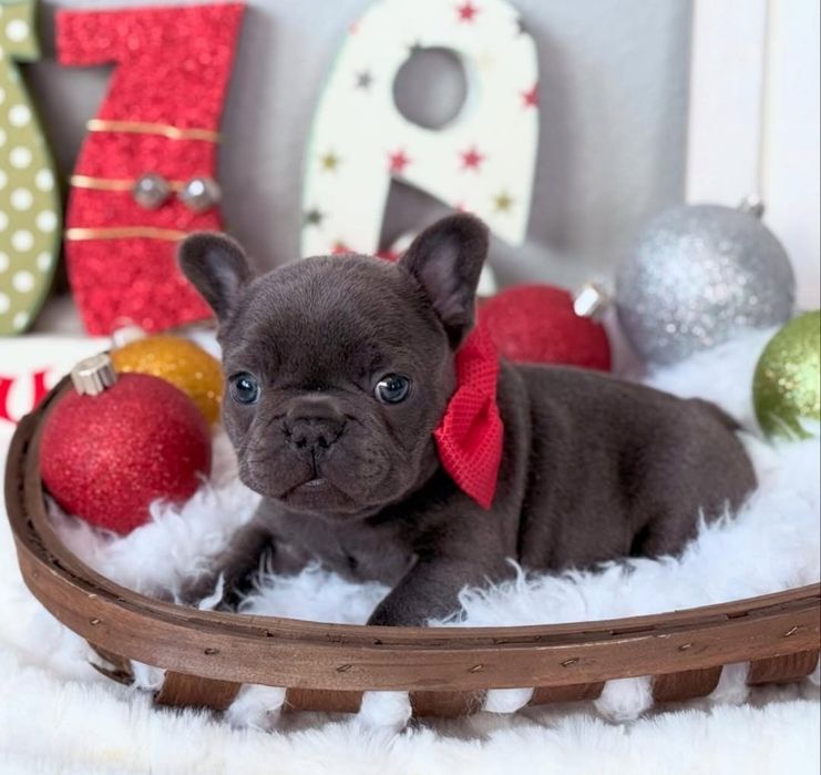 Блакитний малиш .супер якості