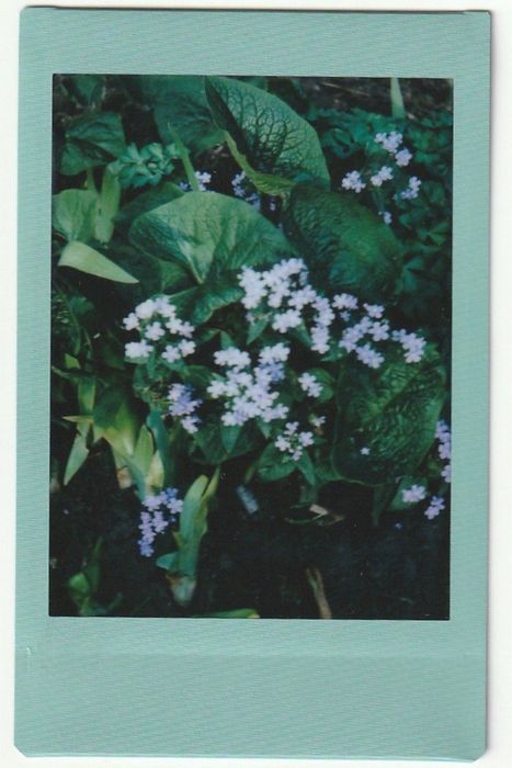 Камера швидкого друку Instax Mini 12