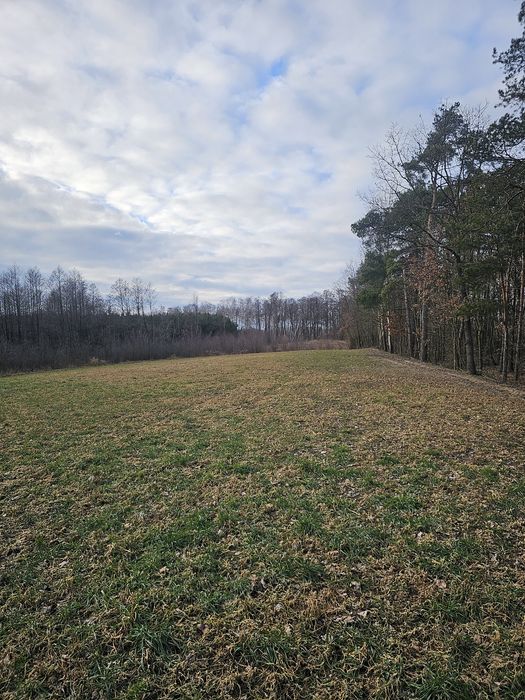 Sprzedam grunty rolno leśne