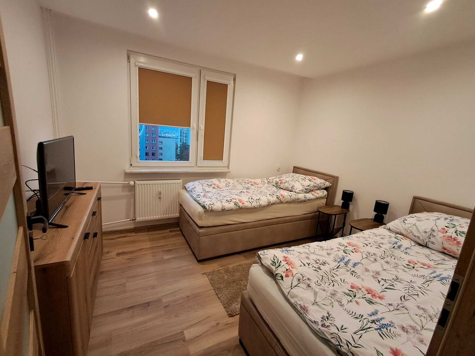 Mieszkanie do wynajęcia 52m2