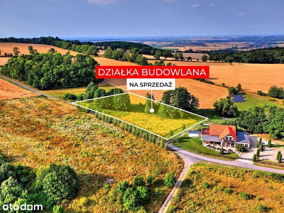 Myślinów | okolice Jawora