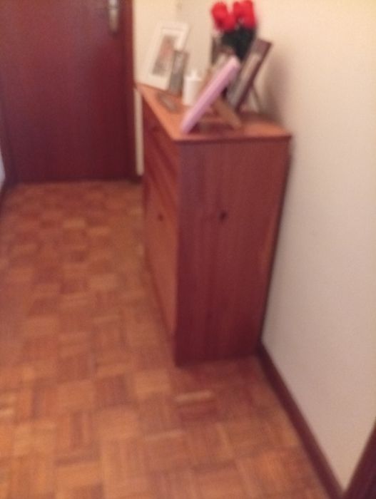 Vendo móvel sapateira