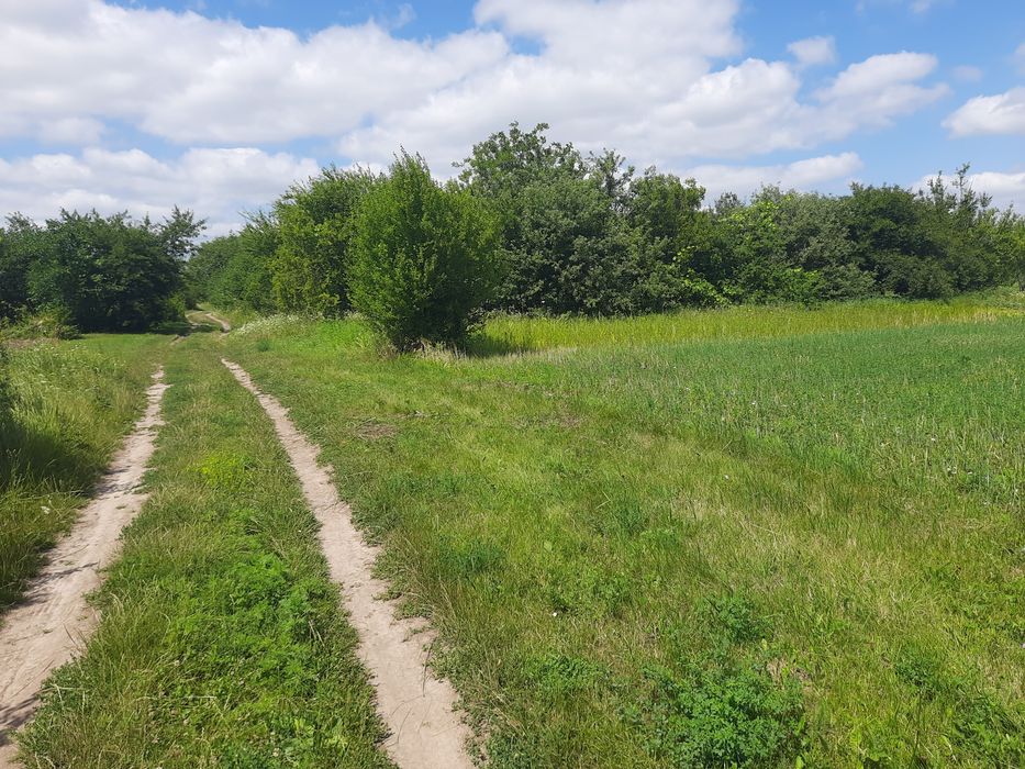 Продам участок 15с.під забудову,Супрунівка,район Кулиничив