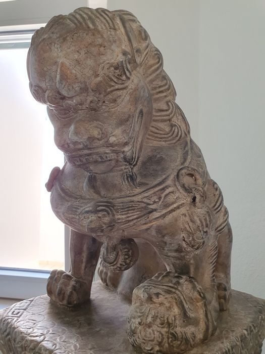 Decorative Dog Lam Lee64752055449730121