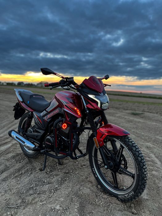 Мустанг регіон фортуна 150