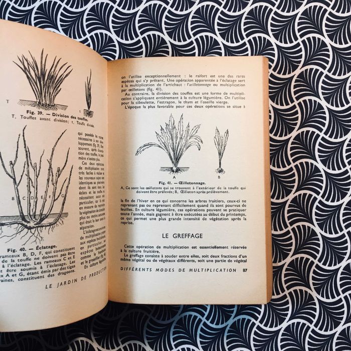 Fleurs, Fruits, Légumes - J. M. Duvernay et A. Perrichon