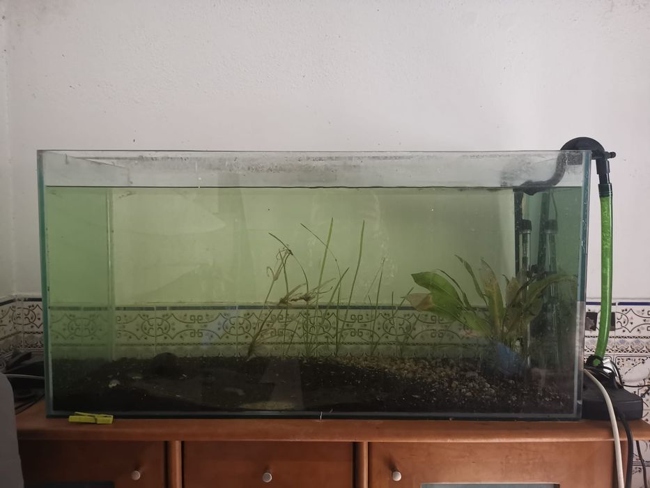 Aquario 1mX40cmX50cm