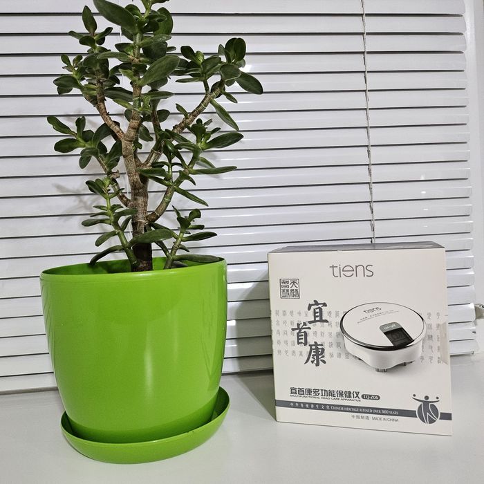 Тяньши  ишоукан TQ-Z06 — багатофункціональний масажер