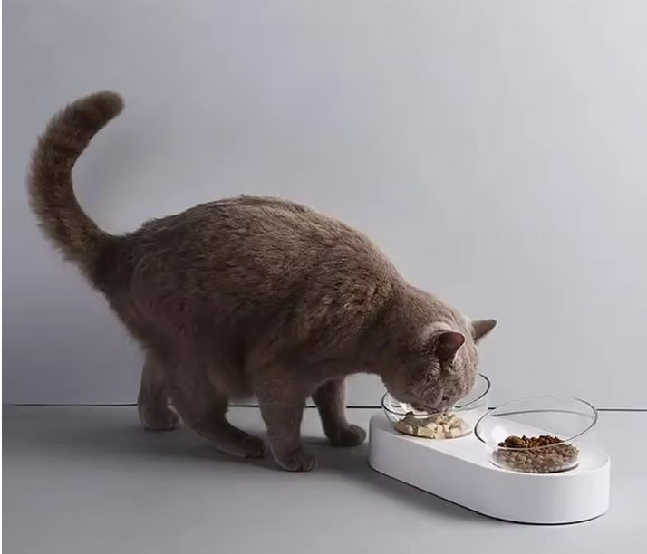 Petkit alimentador para gatos elevado , duplo