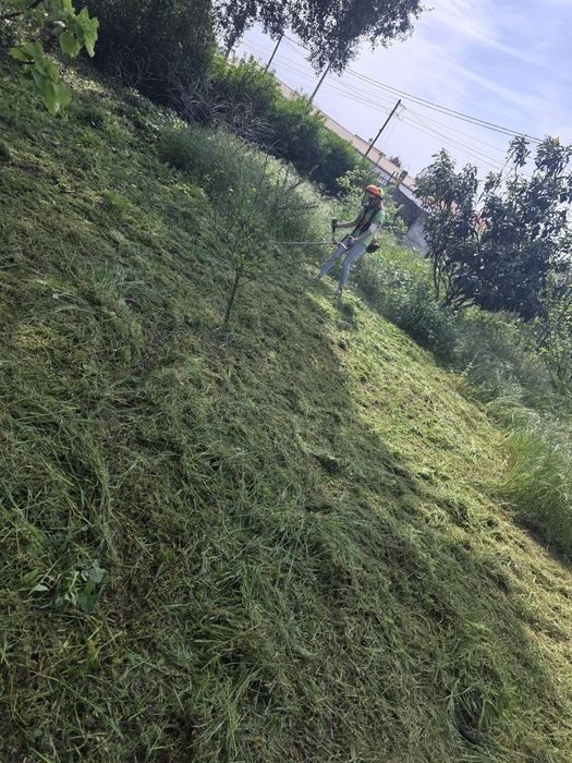 Limpeza de terrenos com roçadora