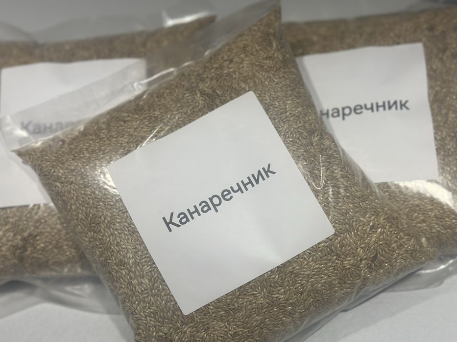 Продам Канаречник 1кг