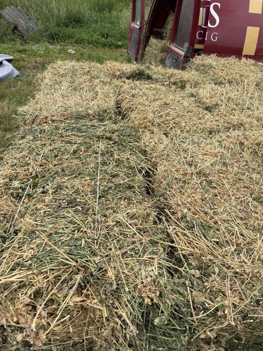 Продам тюки люцерни | Якісна,Суха, чиста, поживна