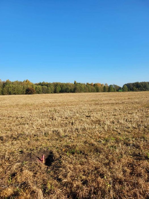 Działki rolne na sprzedaż - Widok 6