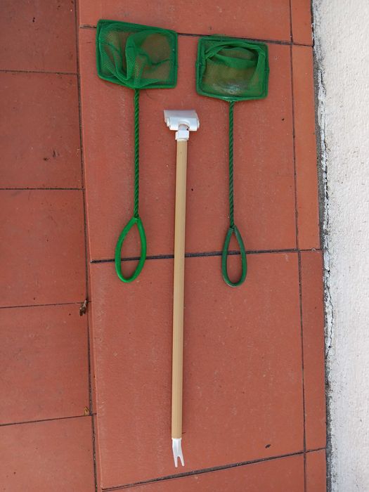 Aquários com acessórios