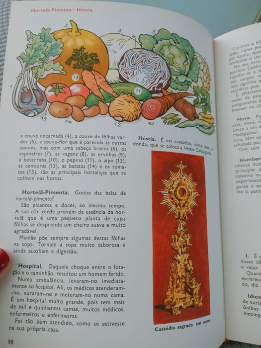 Livro Paraíso Infantil - a palavra através da imagem e da cor