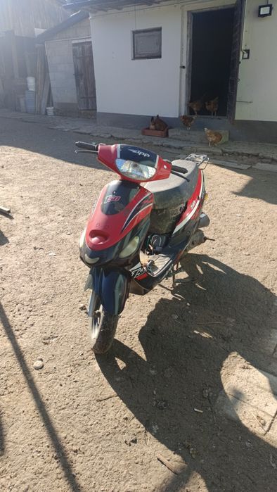 ZIP Tops 50 Czytać Opis