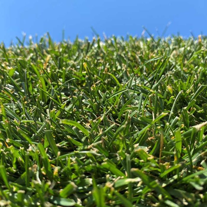 Relva natural em tapete! Transforme o seu jardim!