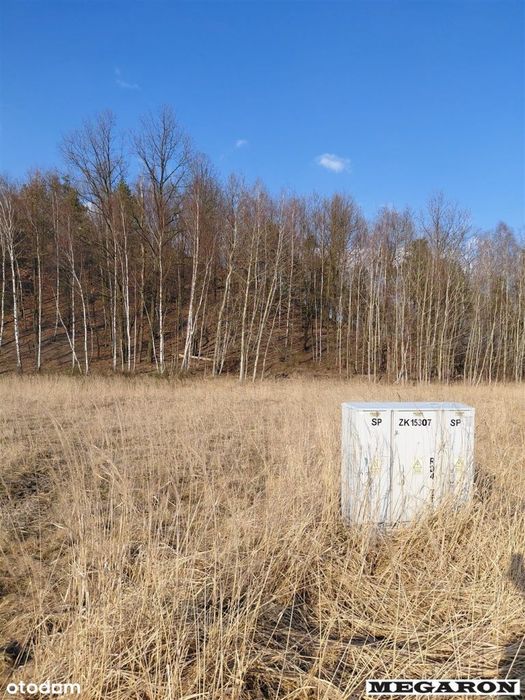 Działka, Borek