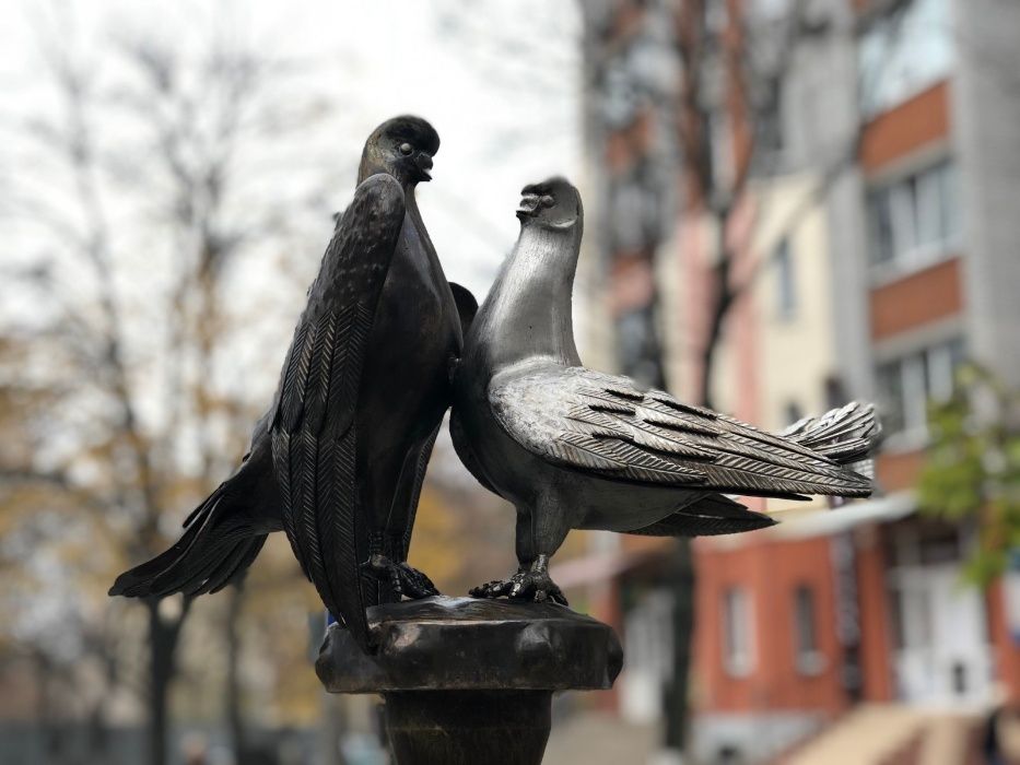 НОВА простора квартира подобово, Центр