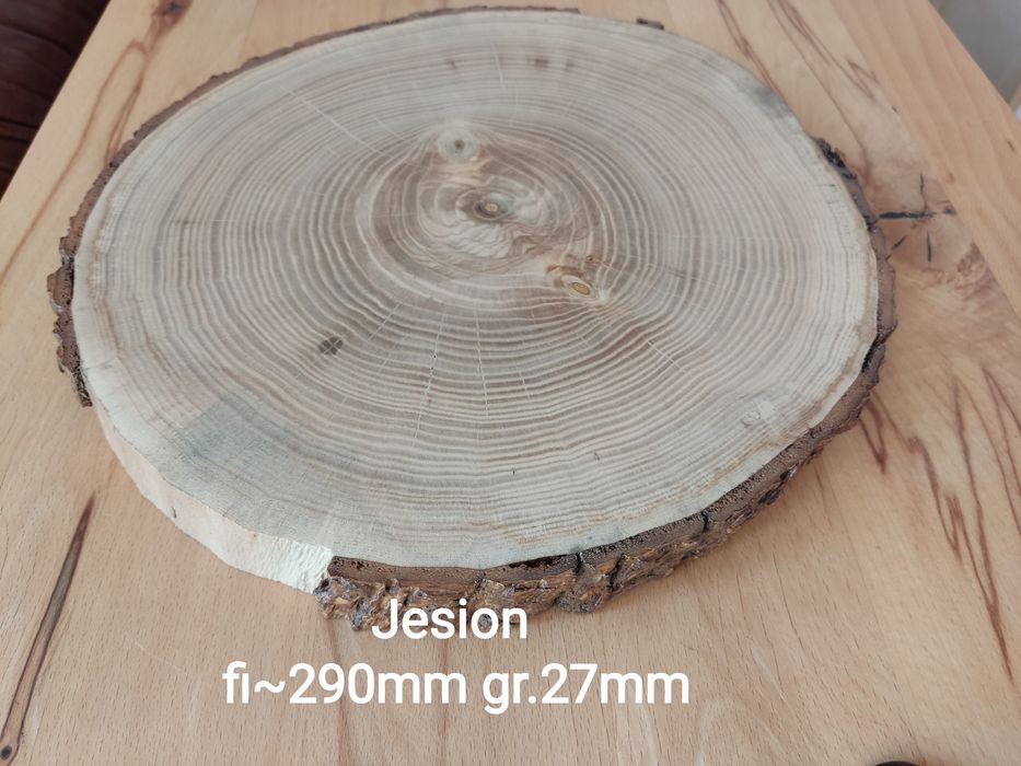 Plaster drewna Jesionu