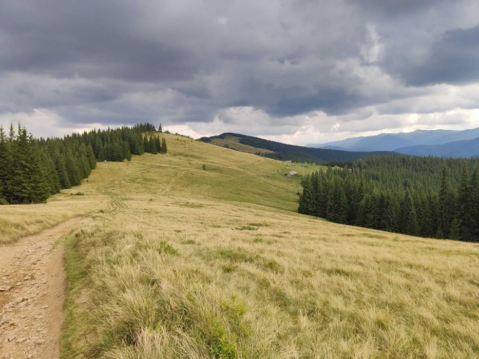 Джип Тур, Off Road, Джипінг - Микуличин