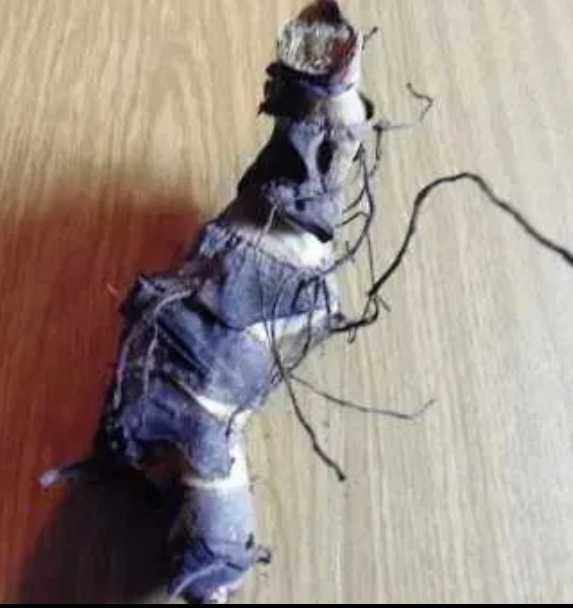 Canna Kanna Paciorecznik 10 szt ( duża )