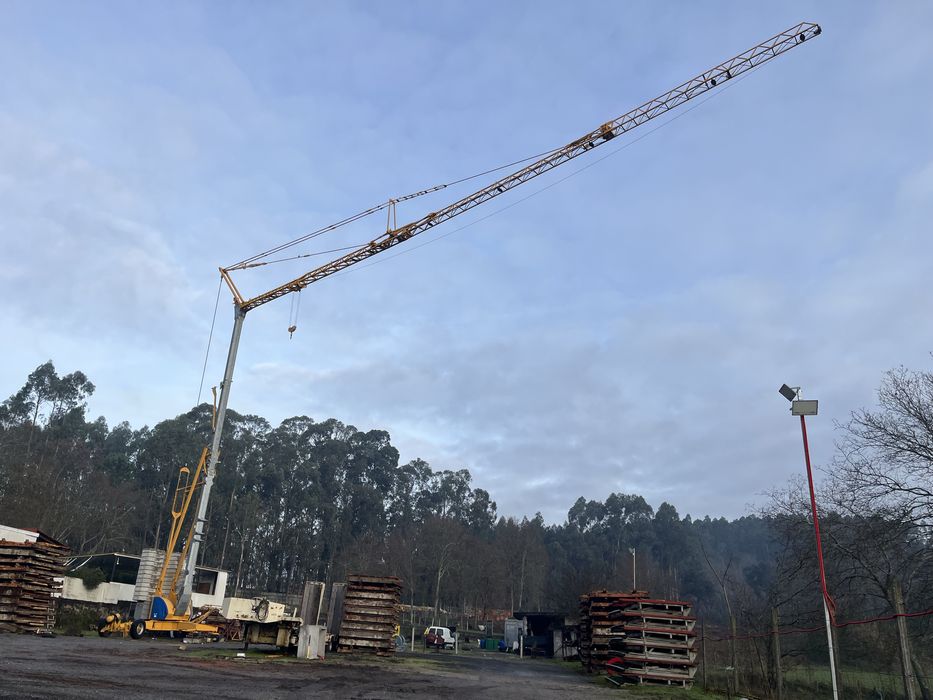 Grua automontante potain igo 50