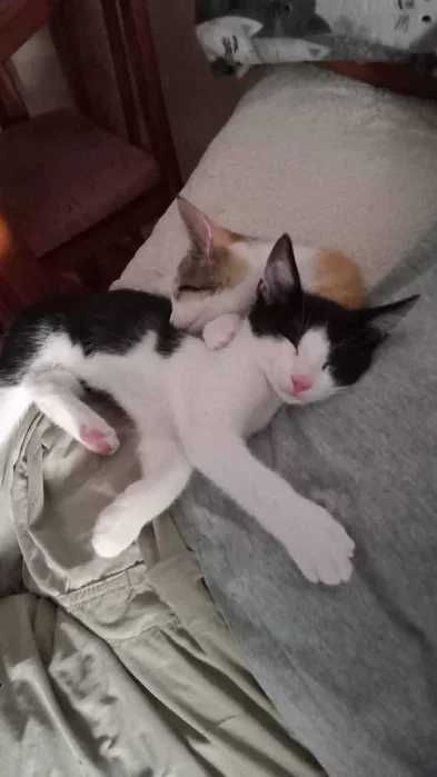 Cześć mam na imię Maciek