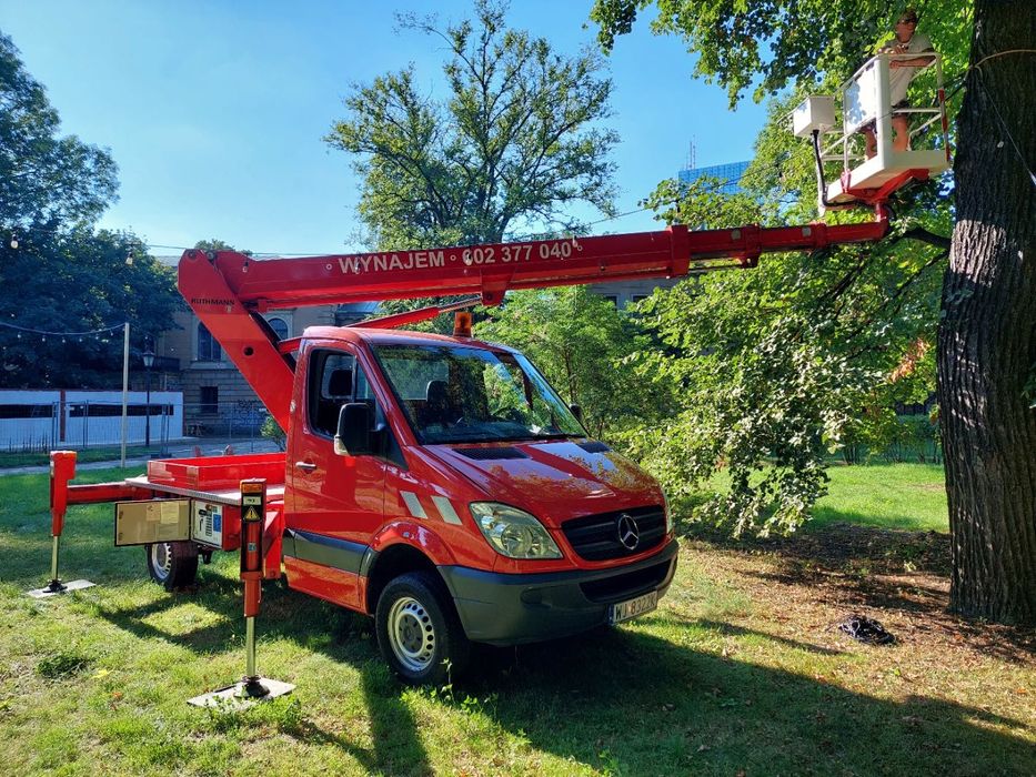 Usługi rębak do gałęzi, Wycinka Drzew, Podnośnik koszowy, wynajem