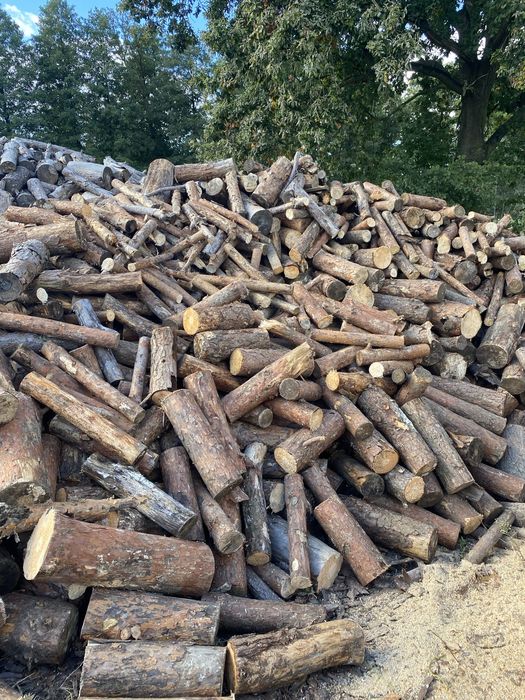 Drewno opałowe sosna , pocięte