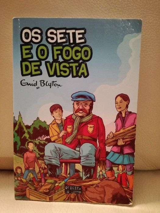 Livro juvenil da coleção "Os Sete" - Os Sete e o fogo de vista