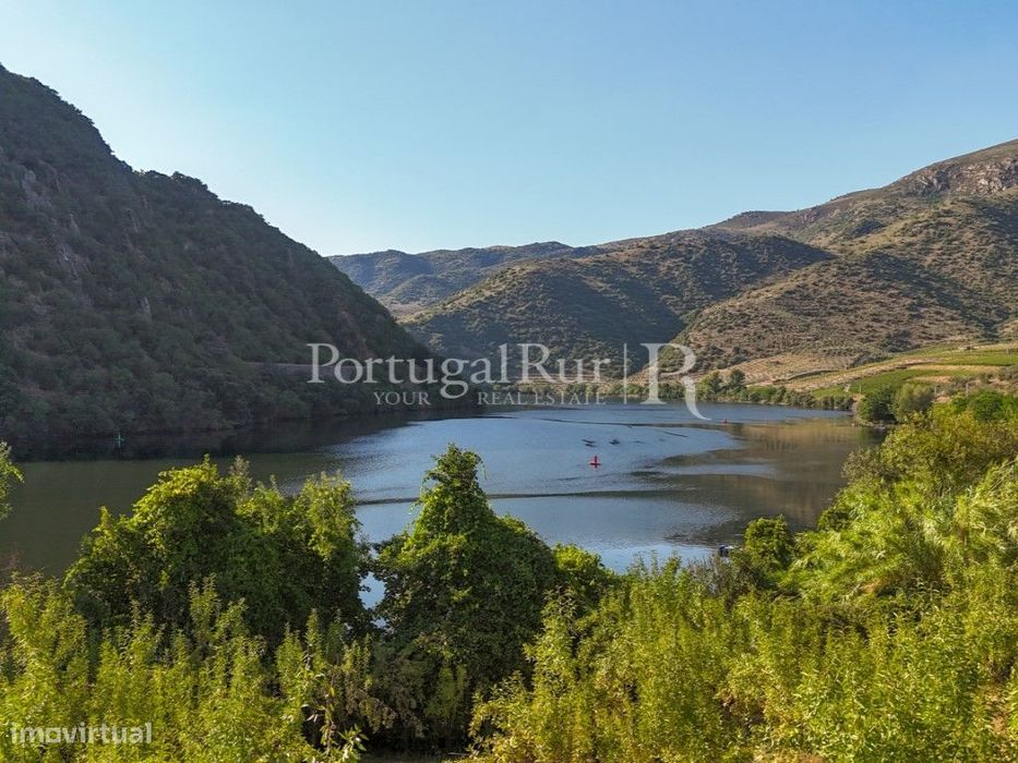 Quinta no Douro junto ao Rio com 3 construções