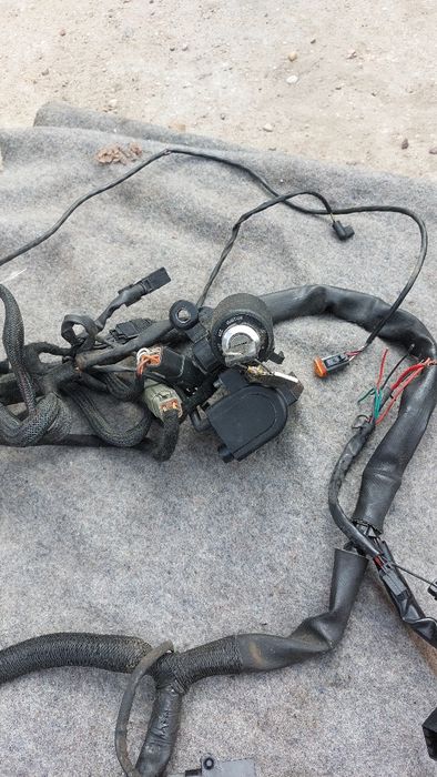 Harley Davidson XL 1200 wiązka elektryczna
