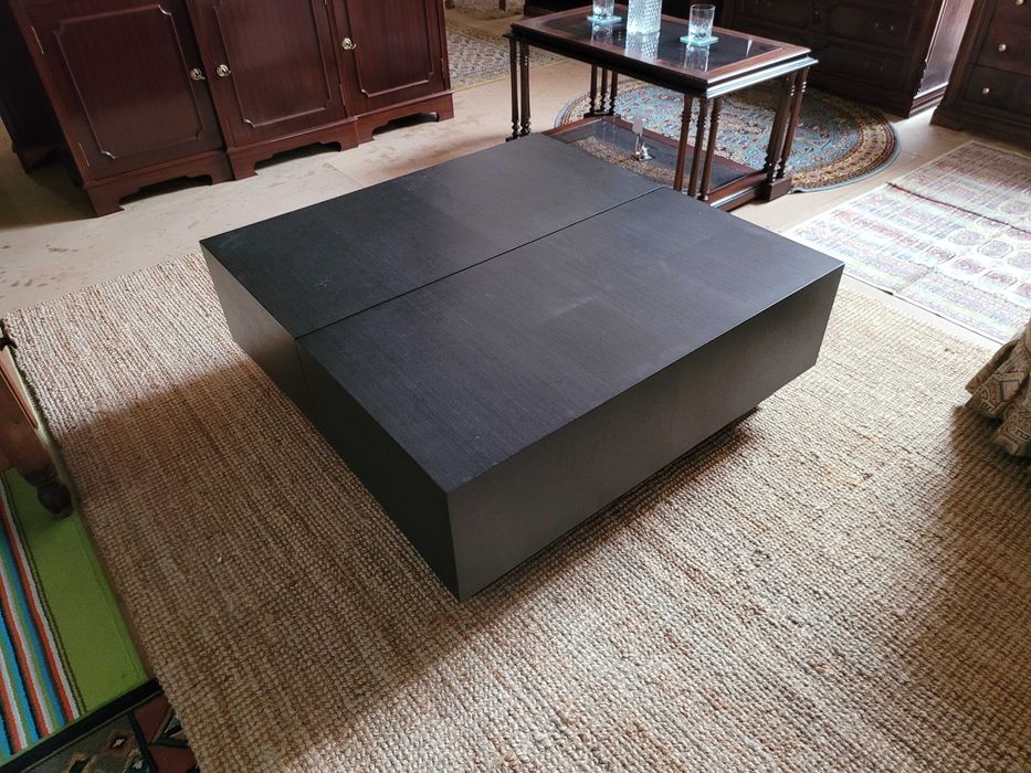Large Antarte Brand Coffee Table / Bar – Like New64584264436610124