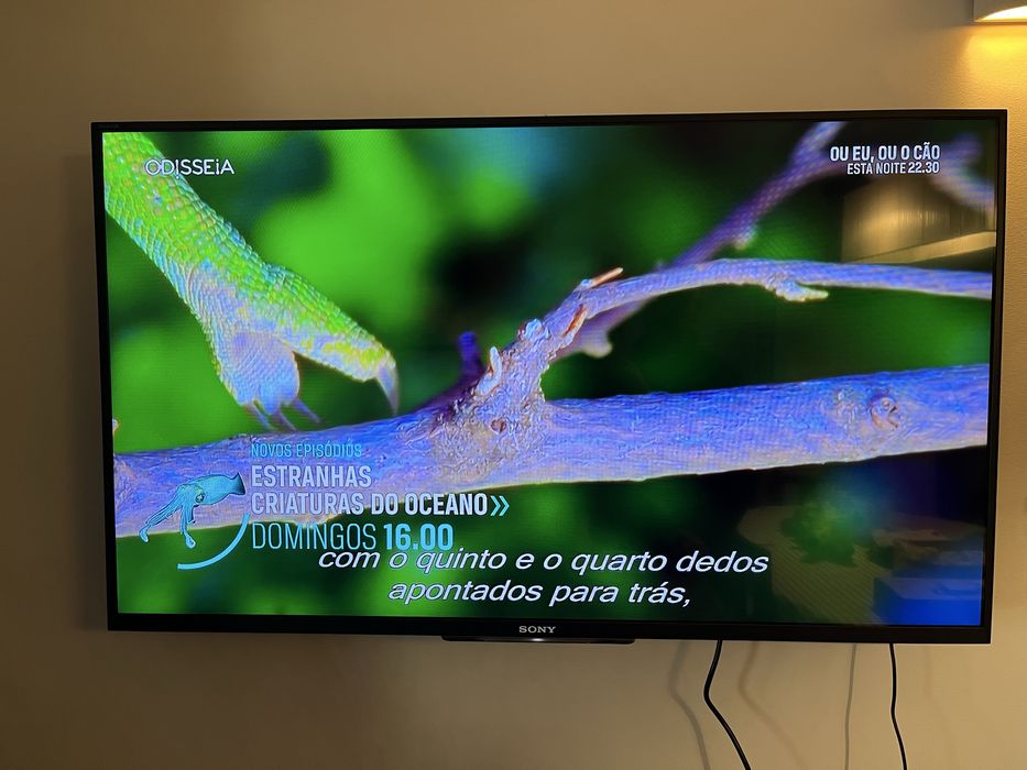 TV Sony Bravia 42 polegadas smart tv