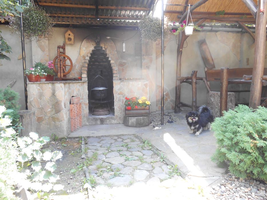 Здам Дом Будинок по суточно 5хв до Термального басейнуЗакарпатя вільно