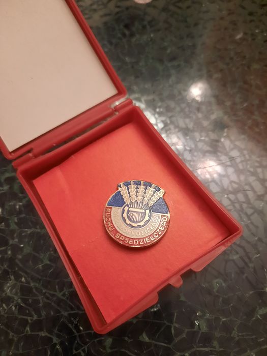 Przypinka zasłużony działacz Ruchu społecznego