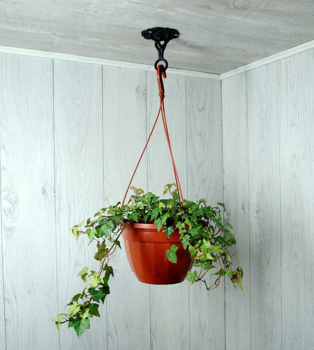 Wieszak Hak Uchwyt sufitowy kuty na doniczkę - Czarny RAL 9005 (W14)