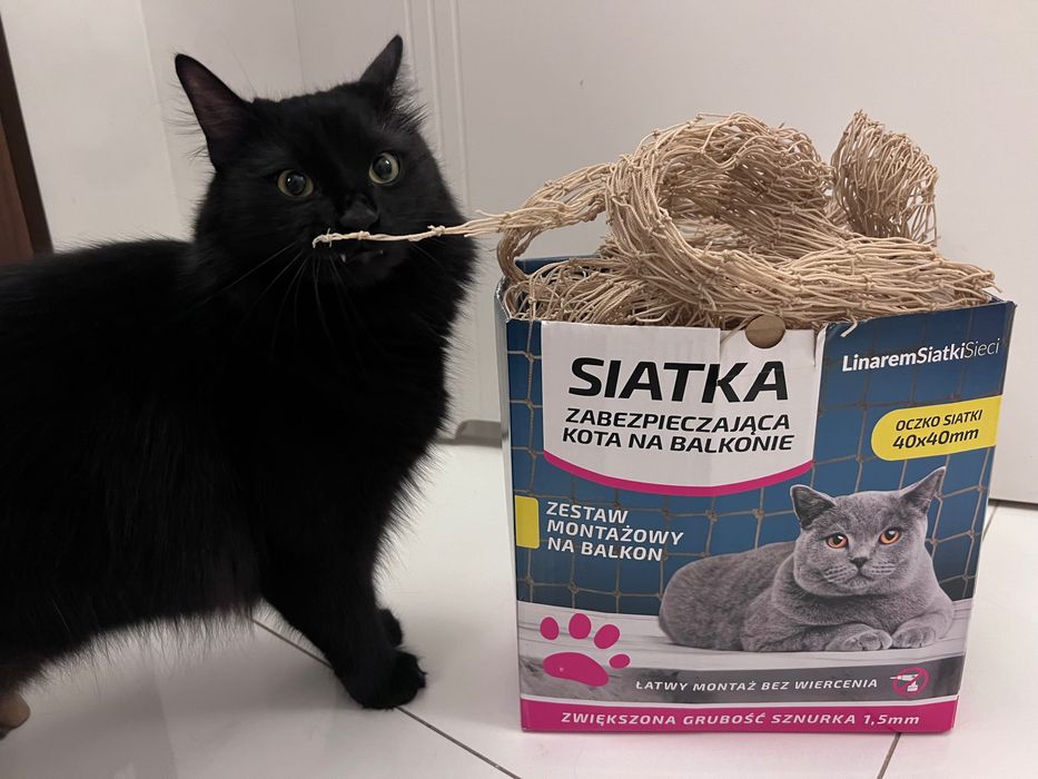 Siatka na balkon zabezpieczająca Kota/ Ochrona przed ptakami