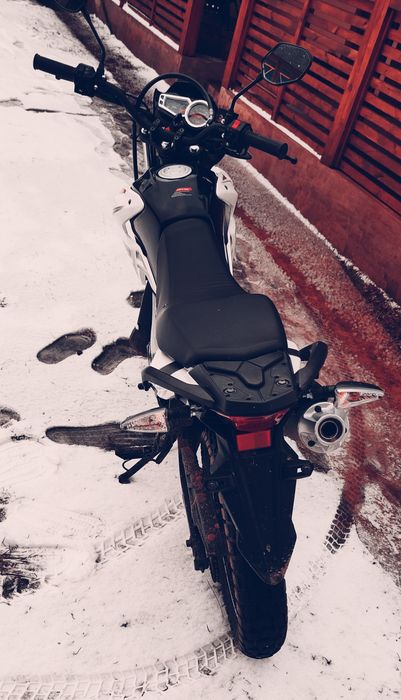 Продам Лонкін прус