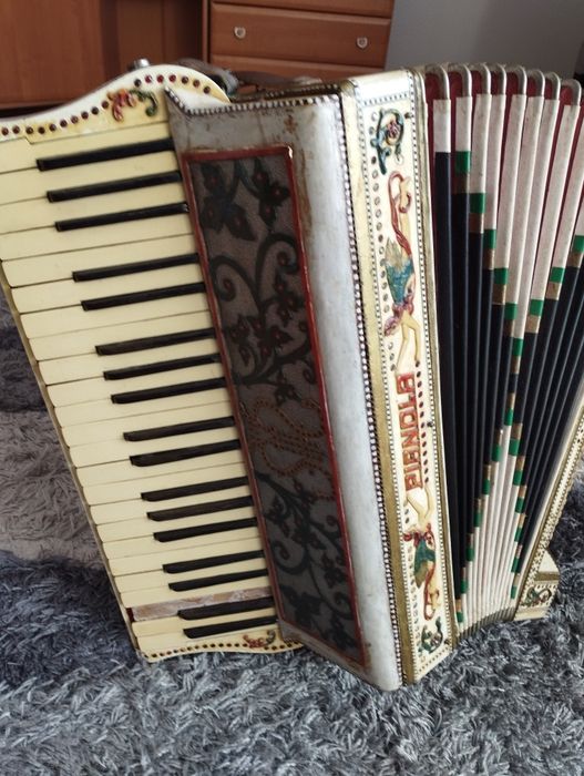 Akordeon pianola 120 basow